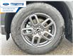 2025 Ford Bronco Sport Big Bend (Stk: SRE03455) in Wallaceburg - Image 10 of 24