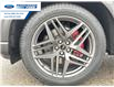 2025 Ford Explorer ST-Line (Stk: SGB40972) in Wallaceburg - Image 10 of 26