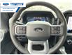 2025 Ford F-150 XLT (Stk: SKD34646) in Wallaceburg - Image 14 of 24