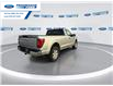 2025 Ford F-150 XL (Stk: SKD22435) in Wallaceburg - Image 8 of 23