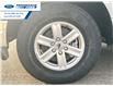 2025 Ford F-150 XL (Stk: SKD22435) in Wallaceburg - Image 10 of 23