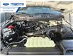2025 Ford F-150 XL (Stk: SKD22435) in Wallaceburg - Image 23 of 23