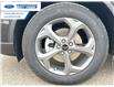 2025 Ford Escape ST-Line (Stk: SUA63730) in Wallaceburg - Image 10 of 25