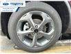 2025 Ford Escape ST-Line Select (Stk: SUA56713) in Wallaceburg - Image 2 of 16