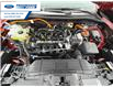 2025 Ford Escape ST-Line Select (Stk: SUA56713) in Wallaceburg - Image 16 of 16
