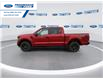 2025 Ford F-150 STX (Stk: SFA71597) in Wallaceburg - Image 5 of 24