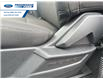 2025 Ford F-150 STX (Stk: SFA71597) in Wallaceburg - Image 12 of 24