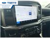 2025 Ford F-150 STX (Stk: SFA71597) in Wallaceburg - Image 16 of 24