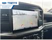 2025 Ford F-150 STX (Stk: SFA71597) in Wallaceburg - Image 17 of 24