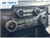 2025 Ford F-150 STX (Stk: SFA71597) in Wallaceburg - Image 18 of 24