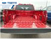 2025 Ford F-150 STX (Stk: SFA71597) in Wallaceburg - Image 22 of 24