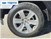 2020 Ford F-150 Platinum (Stk: LFB72020) in Wallaceburg - Image 10 of 26