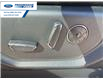 2020 Ford F-150 Platinum (Stk: LFB72020) in Wallaceburg - Image 12 of 26