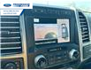 2020 Ford F-150 Platinum (Stk: LFB72020) in Wallaceburg - Image 17 of 26