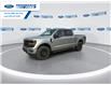 2025 Ford F-150 XLT (Stk: SFA07799) in Wallaceburg - Image 4 of 25