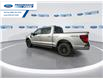 2025 Ford F-150 XLT (Stk: SFA07799) in Wallaceburg - Image 6 of 25