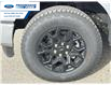 2025 Ford F-150 XLT (Stk: SFA07799) in Wallaceburg - Image 10 of 25
