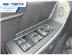 2025 Ford F-150 XLT (Stk: SFA07799) in Wallaceburg - Image 13 of 25