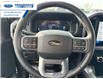 2025 Ford F-150 XLT (Stk: SFA07799) in Wallaceburg - Image 14 of 25