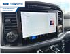 2025 Ford F-150 XLT (Stk: SFA07799) in Wallaceburg - Image 18 of 25