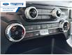 2025 Ford F-150 XLT (Stk: SFA07799) in Wallaceburg - Image 19 of 25