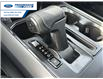 2025 Ford F-150 XLT (Stk: SFA07799) in Wallaceburg - Image 20 of 25
