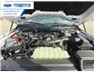 2025 Ford F-150 XLT (Stk: SFA07799) in Wallaceburg - Image 25 of 25
