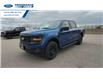 2025 Ford F-150 STX (Stk: SFA86044) in Wallaceburg - Image 4 of 24