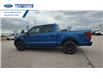 2025 Ford F-150 STX (Stk: SFA86044) in Wallaceburg - Image 6 of 24