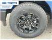 2025 Ford F-150 STX (Stk: SFA86044) in Wallaceburg - Image 10 of 24