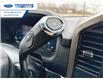 2025 Ford F-150 STX (Stk: SFA86044) in Wallaceburg - Image 19 of 24