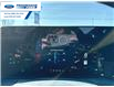 2025 Ford Mustang EcoBoost Premium (Stk: S5115171) in Wallaceburg - Image 15 of 25