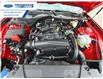 2025 Ford Mustang EcoBoost (Stk: S5113847) in Wallaceburg - Image 24 of 24