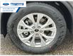 2025 Ford Escape Active (Stk: SUA64008) in Wallaceburg - Image 10 of 25