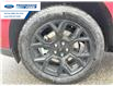 2025 Ford Maverick XLT (Stk: SRA24165) in Wallaceburg - Image 10 of 24