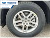 2025 Ford Explorer Active (Stk: SGB87895) in Wallaceburg - Image 10 of 23