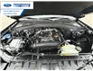 2025 Ford Explorer Active (Stk: SGB87895) in Wallaceburg - Image 23 of 23
