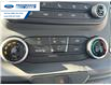 2025 Ford Transit-250 Cargo Base (Stk: SKA13268) in Wallaceburg - Image 18 of 22