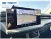 2025 Ford Maverick XLT (Stk: SRA04502) in Wallaceburg - Image 17 of 24