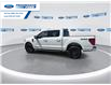 2025 Ford F-150 XLT (Stk: SFA58384) in Wallaceburg - Image 6 of 25