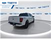2025 Ford F-150 XLT (Stk: SFA58384) in Wallaceburg - Image 8 of 25