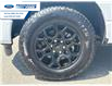 2025 Ford F-150 XLT (Stk: SFA58384) in Wallaceburg - Image 10 of 25