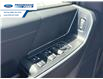 2025 Ford F-150 XLT (Stk: SFA58384) in Wallaceburg - Image 13 of 25