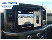2025 Ford F-150 XLT (Stk: SFA58384) in Wallaceburg - Image 17 of 25