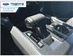 2025 Ford F-150 XLT (Stk: SFA58384) in Wallaceburg - Image 20 of 25