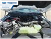 2025 Ford F-150 XLT (Stk: SFA58384) in Wallaceburg - Image 25 of 25