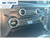 2025 Ford F-150 Lariat (Stk: SFA65142) in Wallaceburg - Image 19 of 25