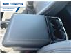 2025 Ford F-150 Lariat (Stk: SFA65142) in Wallaceburg - Image 21 of 25