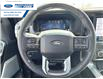 2025 Ford F-150 Platinum (Stk: SFA31859) in Wallaceburg - Image 14 of 26