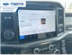 2025 Ford F-150 Platinum (Stk: SFA31859) in Wallaceburg - Image 16 of 26